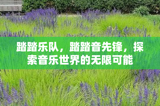 踏踏乐队，踏踏音先锋，探索音乐世界的无限可能