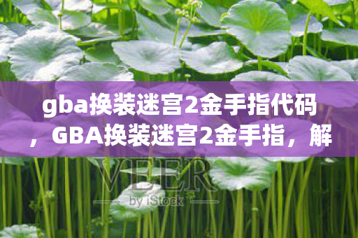 gba换装迷宫2金手指代码，GBA换装迷宫2金手指，解锁无限可能的神秘钥匙