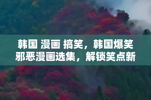 韩国 漫画 搞笑，韩国爆笑邪恶漫画选集，解锁笑点新姿势