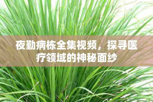 夜勤病栋全集视频，探寻医疗领域的神秘面纱