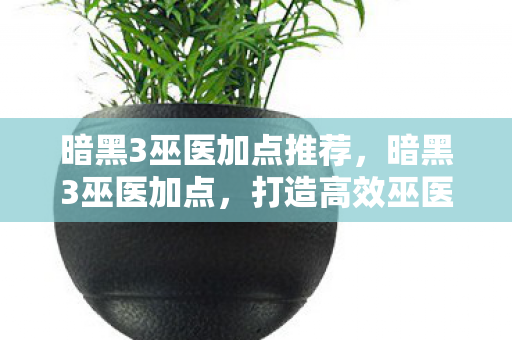 暗黑3巫医加点推荐，暗黑3巫医加点，打造高效巫医的攻略