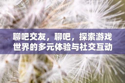 聊吧交友，聊吧，探索游戏世界的多元体验与社交互动