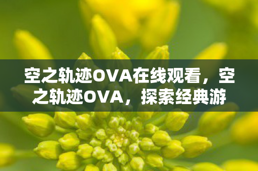 空之轨迹OVA在线观看，空之轨迹OVA，探索经典游戏的视觉盛宴