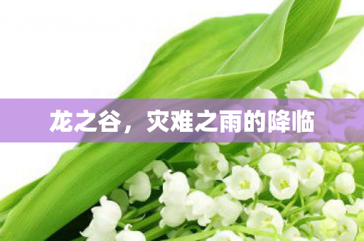 龙之谷，灾难之雨的降临