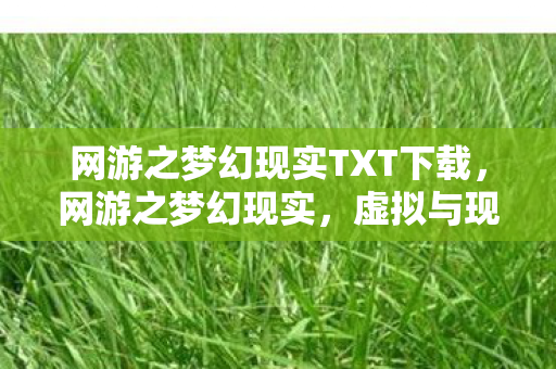 网游之梦幻现实TXT下载，网游之梦幻现实，虚拟与现实的交织
