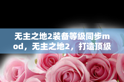 无主之地2装备等级同步mod，无主之地2，打造顶级装备，提升游戏战力