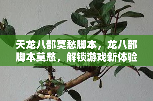 天龙八部莫愁脚本，龙八部脚本莫愁，解锁游戏新体验，安全高效是关键