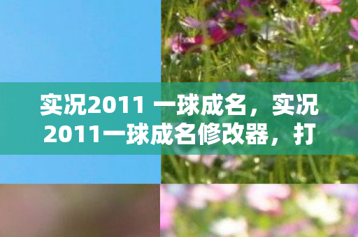 实况2011 一球成名，实况2011一球成名修改器，打造个性化足球之旅