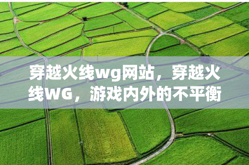 穿越火线wg网站，穿越火线WG，游戏内外的不平衡与挑战