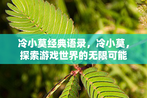 冷小莫经典语录，冷小莫，探索游戏世界的无限可能