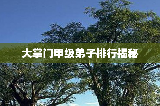 大掌门甲级弟子排行揭秘