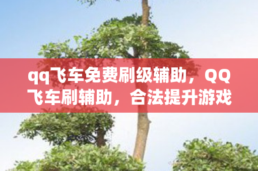 qq飞车免费刷级辅助，QQ飞车刷辅助，合法提升游戏体验的秘诀