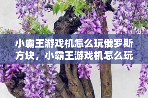 小霸王游戏机怎么玩俄罗斯方块，小霸王游戏机怎么玩