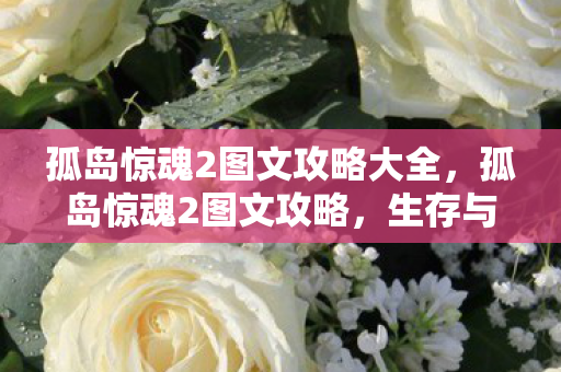 孤岛惊魂2图文攻略大全，孤岛惊魂2图文攻略，生存与战斗的艺术