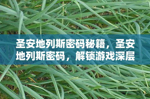 圣安地列斯密码秘籍，圣安地列斯密码，解锁游戏深层体验