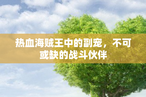 热血海贼王中的副宠，不可或缺的战斗伙伴