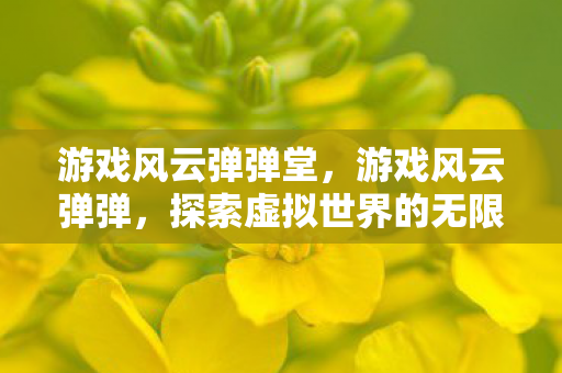 游戏风云弹弹堂，游戏风云弹弹，探索虚拟世界的无限可能