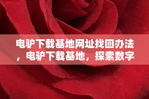 电驴下载基地网址找回办法，电驴下载基地，探索数字时代的资源分享新境界
