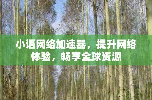 小语网络加速器，提升网络体验，畅享全球资源