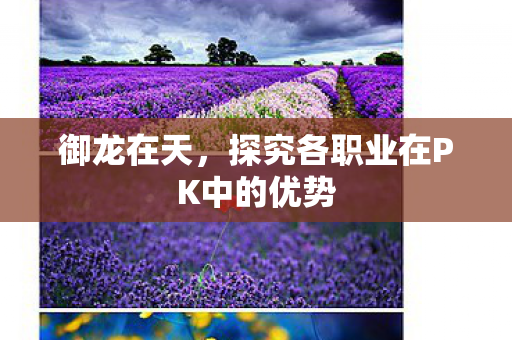 御龙在天，探究各职业在PK中的优势