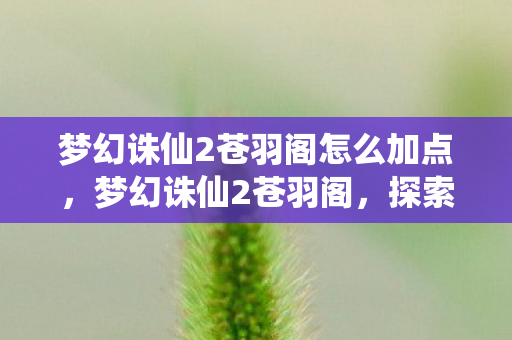 梦幻诛仙2苍羽阁怎么加点，梦幻诛仙2苍羽阁，探索经典与创新的完美融合