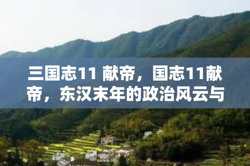 三国志11 献帝，国志11献帝，东汉末年的政治风云与献帝的命运沉浮