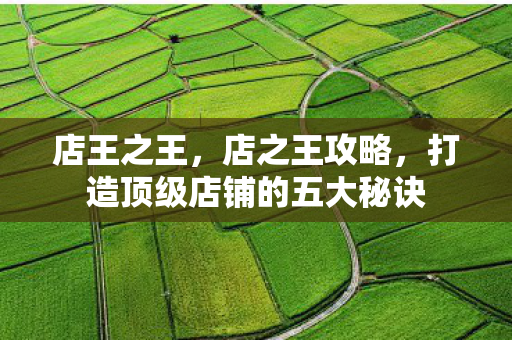店王之王，店之王攻略，打造顶级店铺的五大秘诀