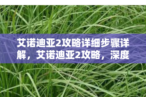 艾诺迪亚2攻略详细步骤详解，艾诺迪亚2攻略，深度解析游戏策略与角色发展