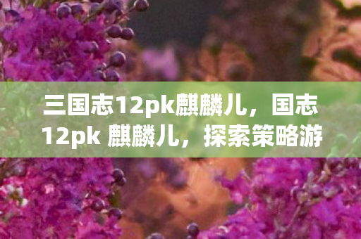 三国志12pk麒麟儿，国志12pk 麒麟儿，探索策略游戏的深度与广度