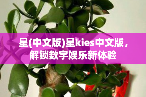 星(中文版)星kies中文版，解锁数字娱乐新体验