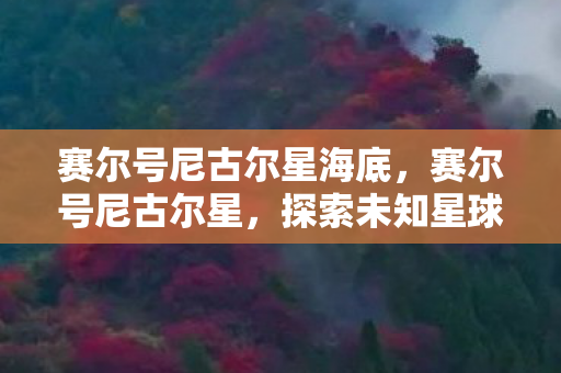 赛尔号尼古尔星海底，赛尔号尼古尔星，探索未知星球的奇幻之旅