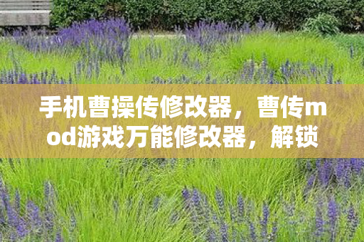 手机曹操传修改器，曹传mod游戏万能修改器，解锁游戏新体验，合法合规的个性化玩法
