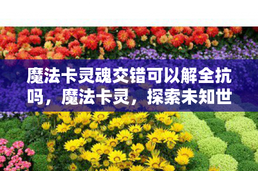 魔法卡灵魂交错可以解全抗吗，魔法卡灵，探索未知世界的神秘力量