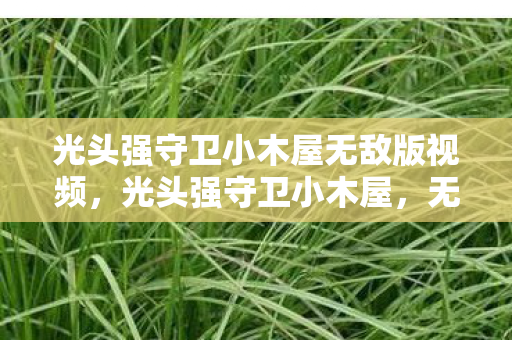 光头强守卫小木屋无敌版视频，光头强守卫小木屋，无敌版新挑战，策略与勇气的双重考验