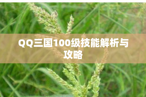 QQ三国100级技能解析与攻略