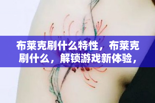 布莱克刷什么特性，布莱克刷什么，解锁游戏新体验，探索无限可能