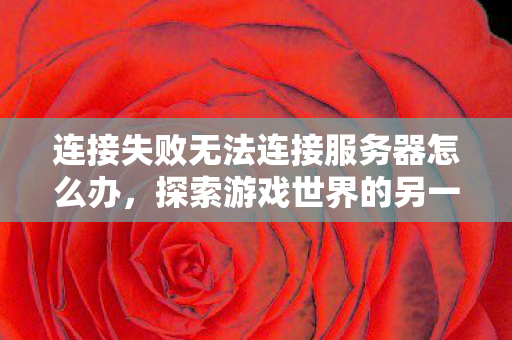 连接失败无法连接服务器怎么办，探索游戏世界的另一面，深度解析游戏服务器的奥秘