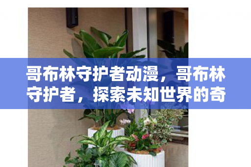 哥布林守护者动漫，哥布林守护者，探索未知世界的奇妙冒险