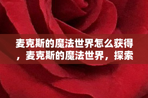 麦克斯的魔法世界怎么获得，麦克斯的魔法世界，探索奇幻之旅的无限可能