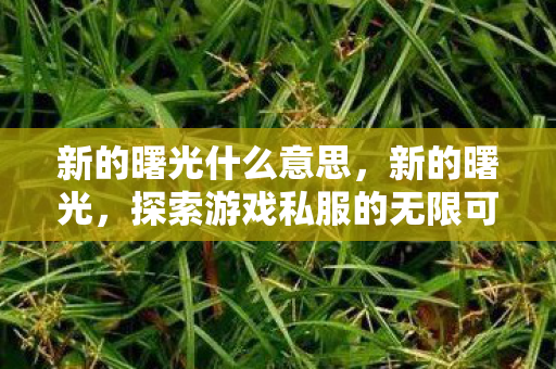 新的曙光什么意思，新的曙光，探索游戏私服的无限可能