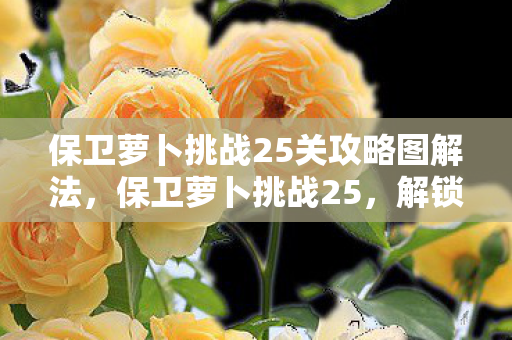 保卫萝卜挑战25关攻略图解法，保卫萝卜挑战25，解锁新关卡，策略与智慧的碰撞