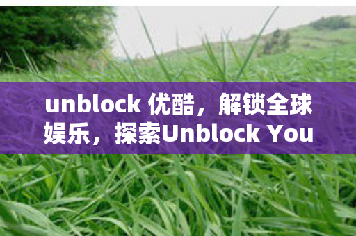 unblock 优酷，解锁全球娱乐，探索Unblock Youku的无限可能
