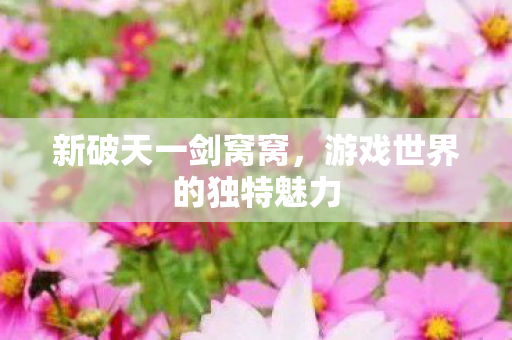 新破天一剑窝窝，游戏世界的独特魅力
