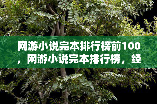 网游小说完本排行榜前100，网游小说完本排行榜，经典之作的回顾与赏析