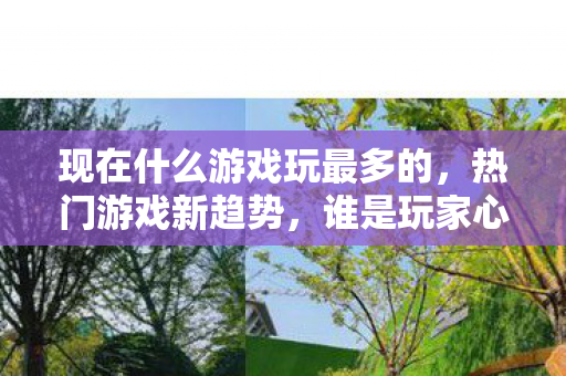 现在什么游戏玩最多的，热门游戏新趋势，谁是玩家心中的王者？
