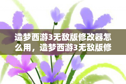 造梦西游3无敌版修改器怎么用，造梦西游3无敌版修改器，解锁无限可能的冒险之旅