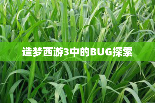 造梦西游3中的BUG探索