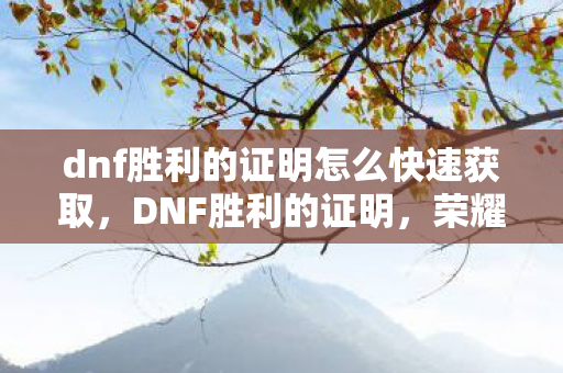 dnf胜利的证明怎么快速获取，DNF胜利的证明，荣耀与成长的见证