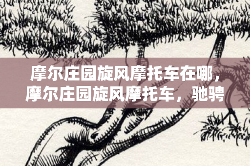 摩尔庄园旋风摩托车在哪，摩尔庄园旋风摩托车，驰骋在梦幻庄园的极速之旅