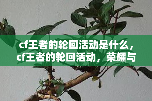 cf王者的轮回活动是什么，cf王者的轮回活动，荣耀与梦想的交织